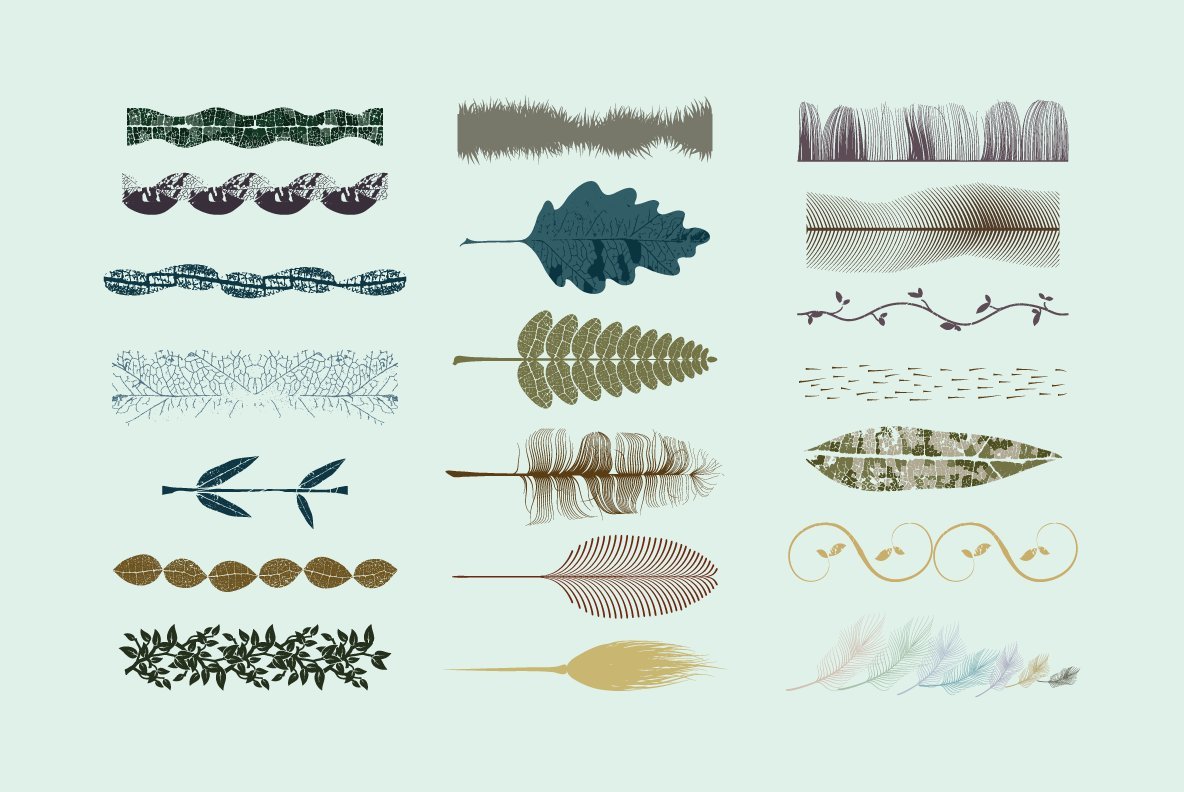 Vector Brush Collection 05 Vector Brush Collection 05