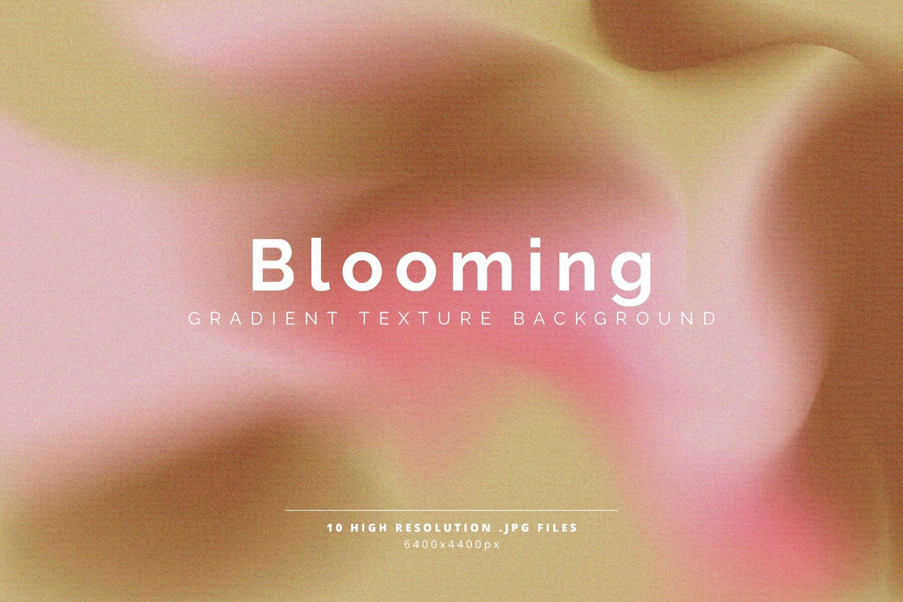 Blooming Gradient Texture Background 1