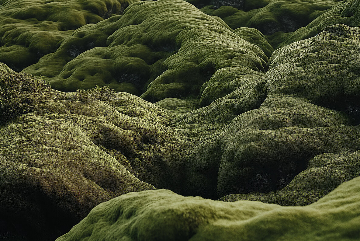 Minimalistic Silent Nature 2