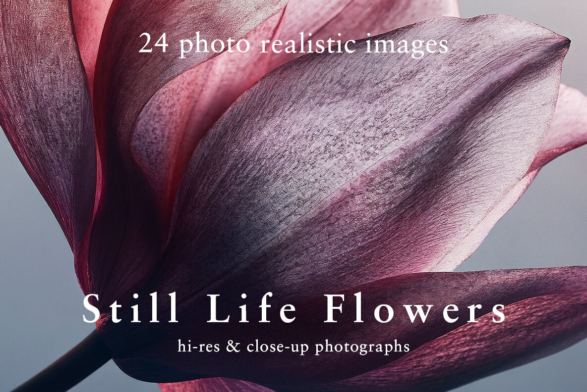 Still Life Flowers 1