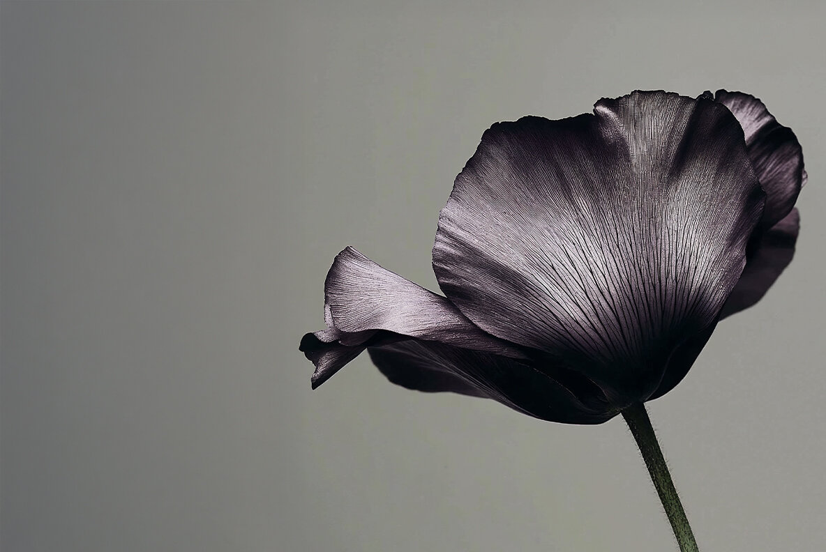 Still Life Flowers 4