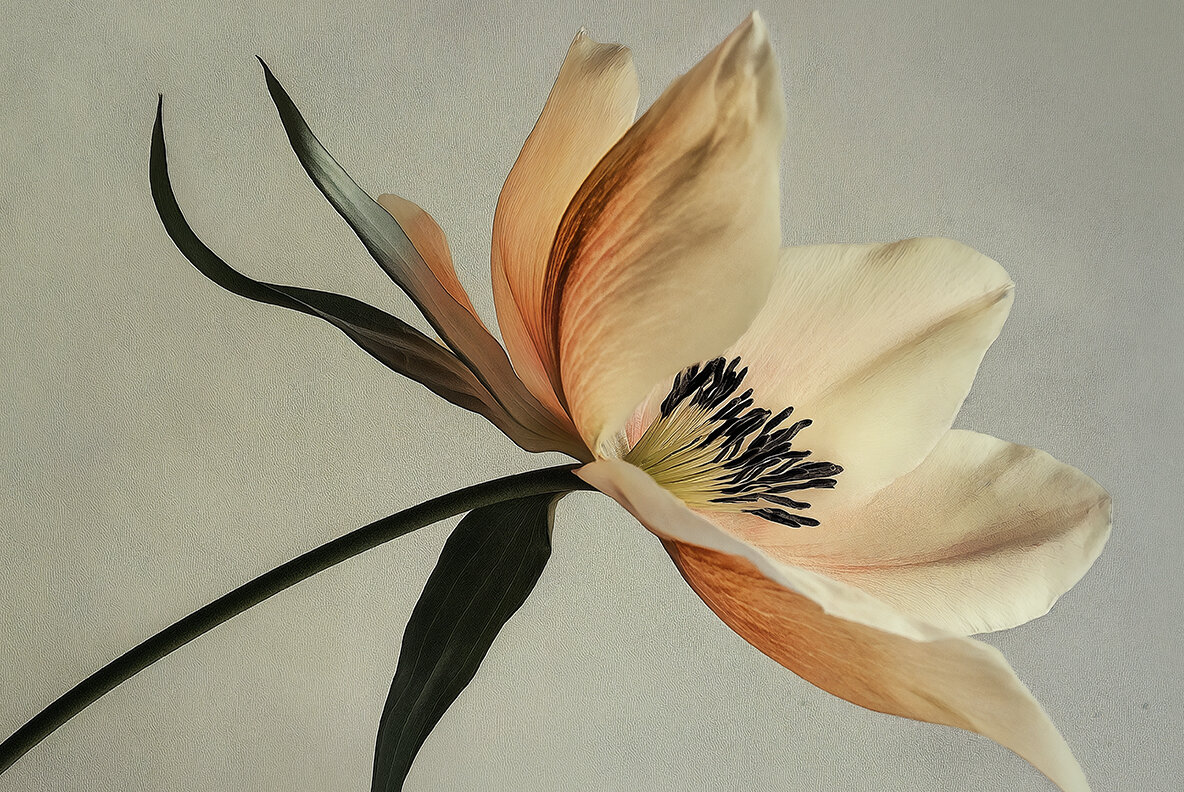 Still Life Flowers 6