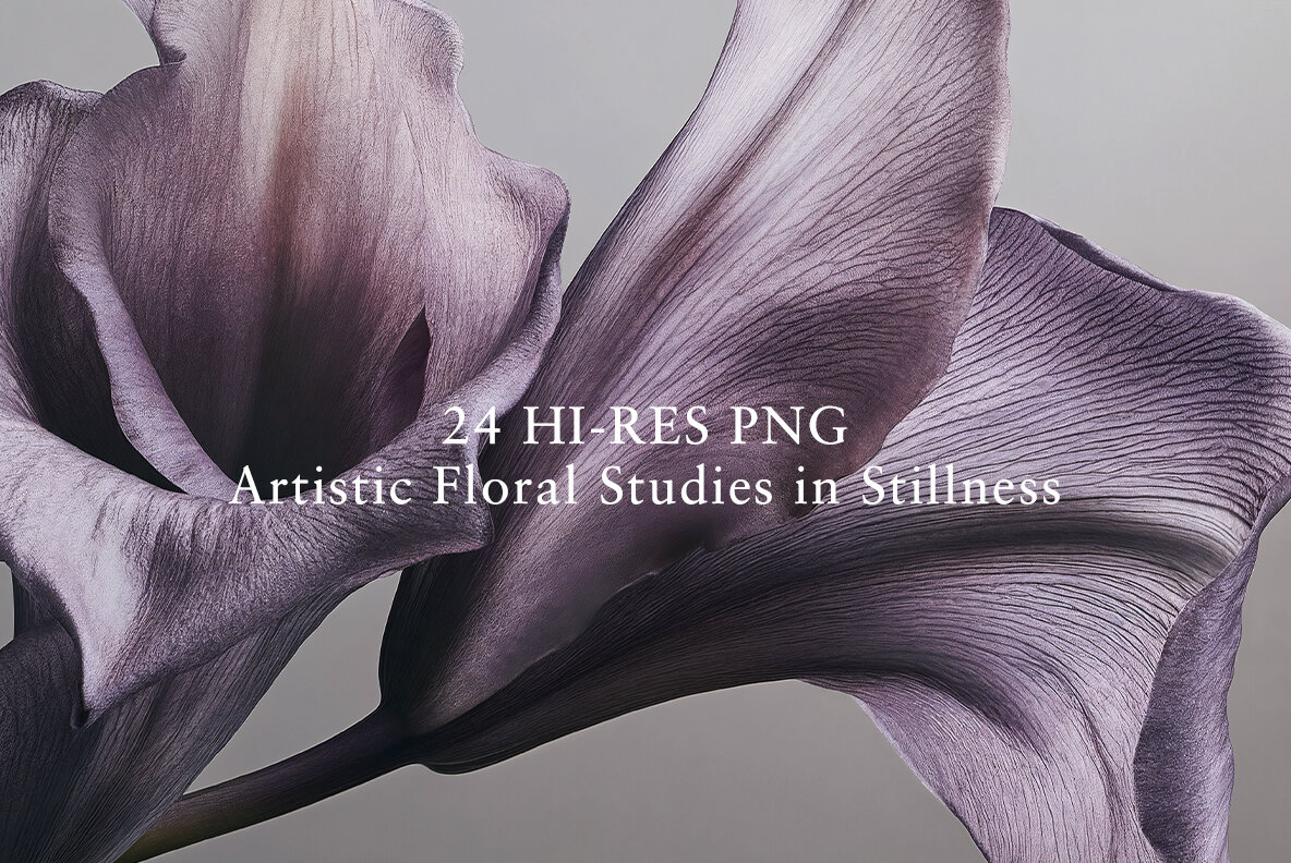 Still Life Flowers 7