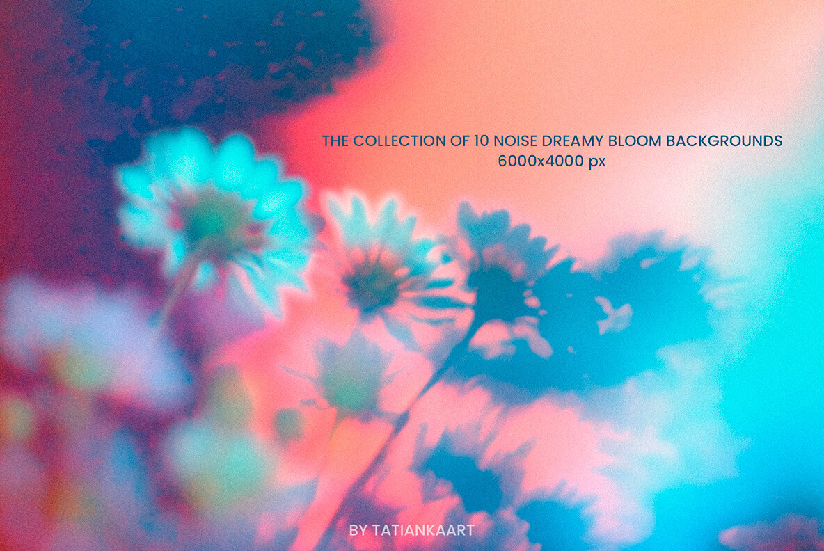 Dreamy Bloom Collection 3