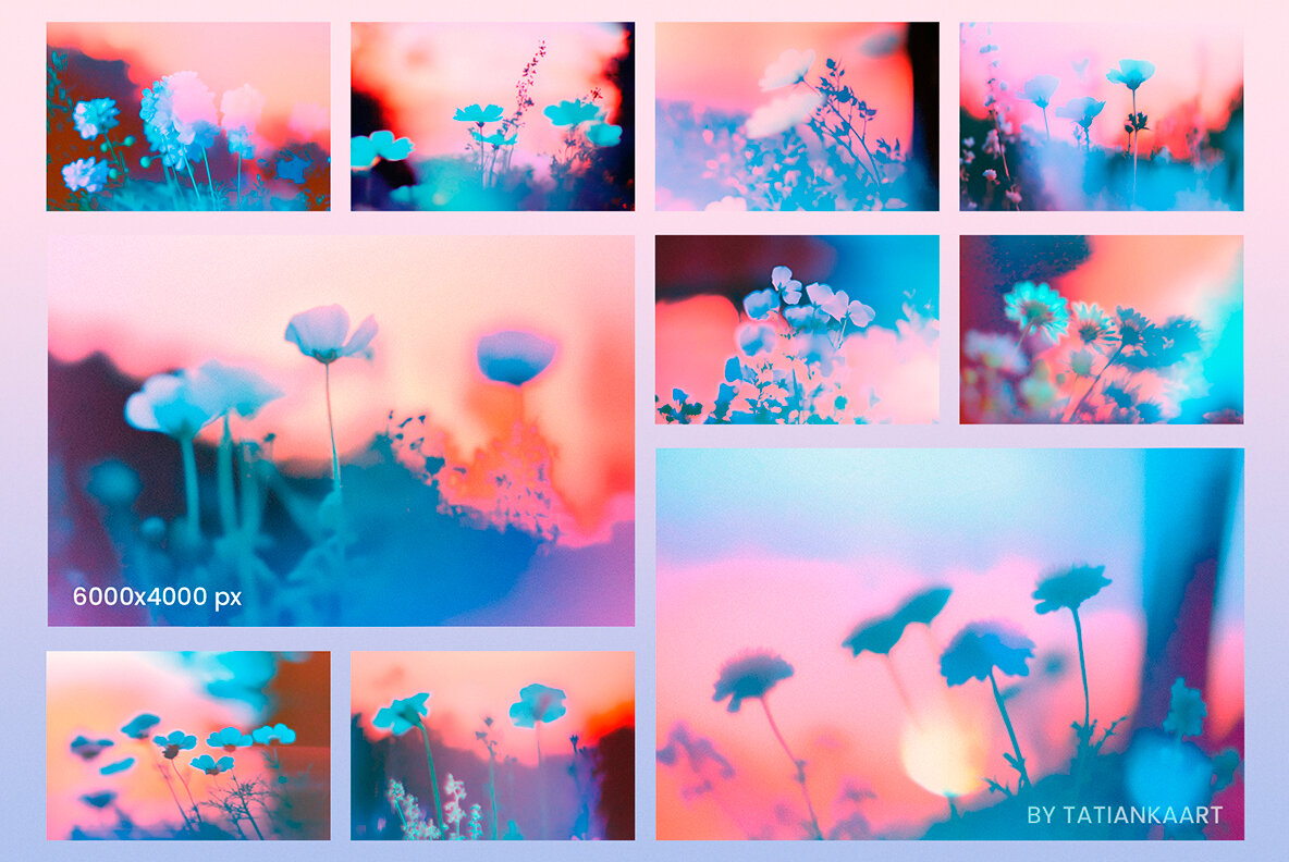 Dreamy Bloom Collection 4