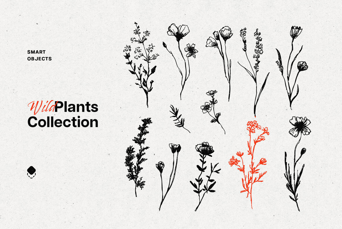 Wild Plants Graphic Set 1