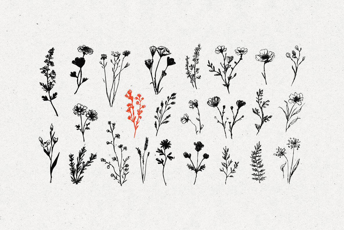 Wild Plants Graphic Set 2