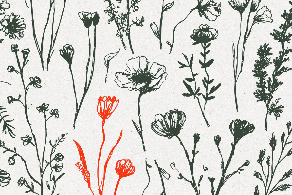 Wild Plants Graphic Set 4