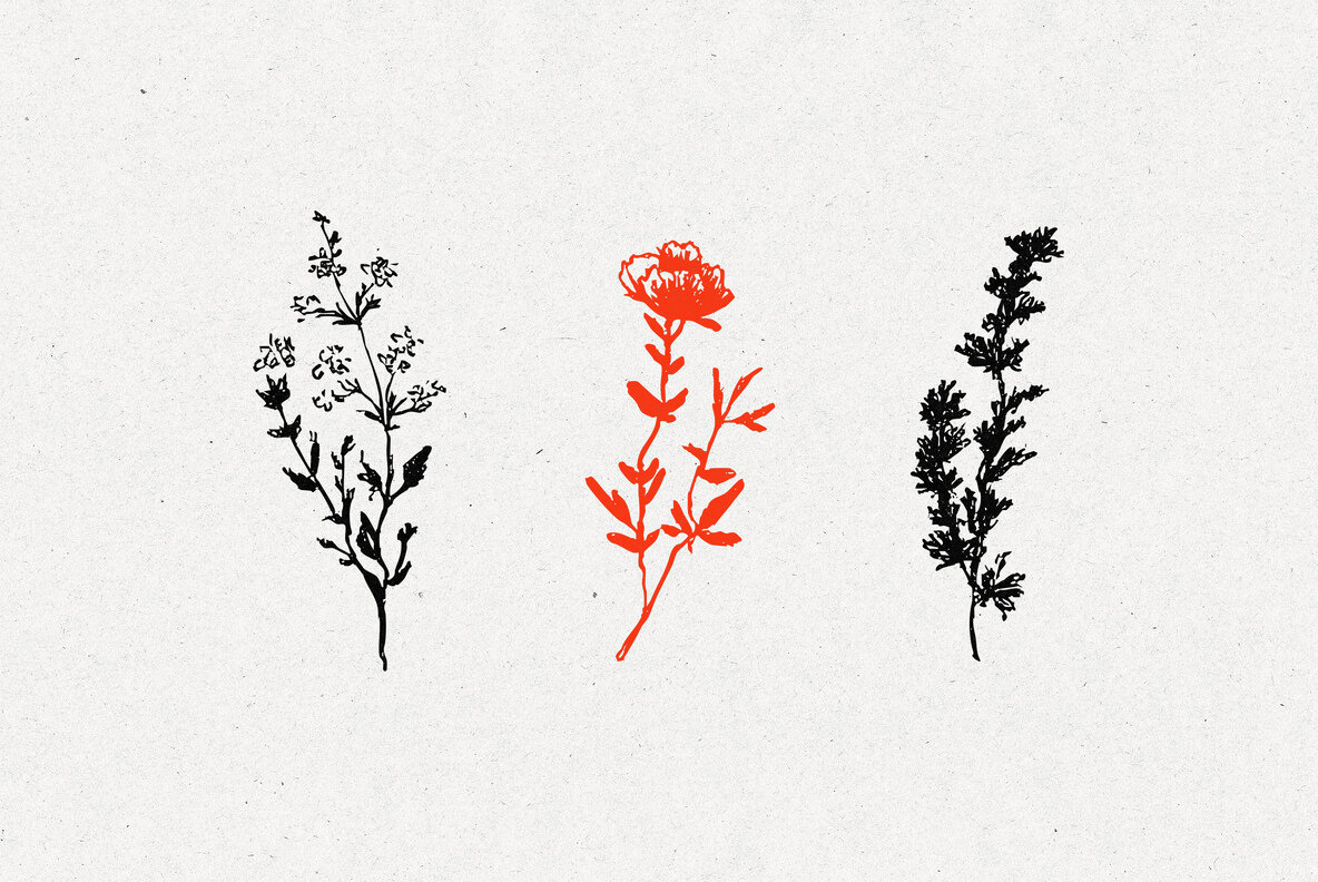 Wild Plants Graphic Set 5