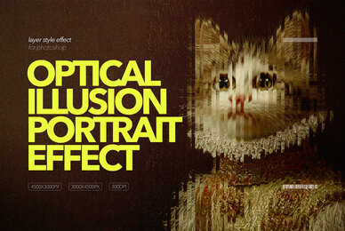 Optical Illusion Portrait Effect
