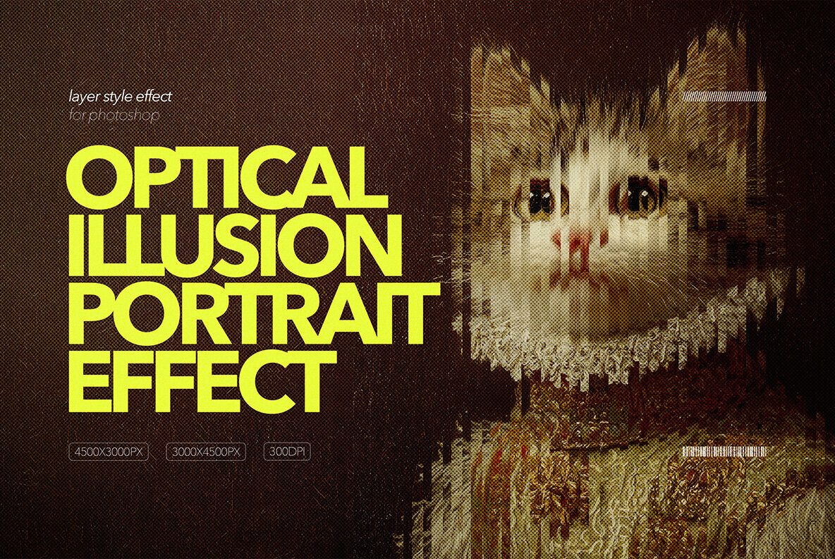 Optical Illusion Portrait Effect 1