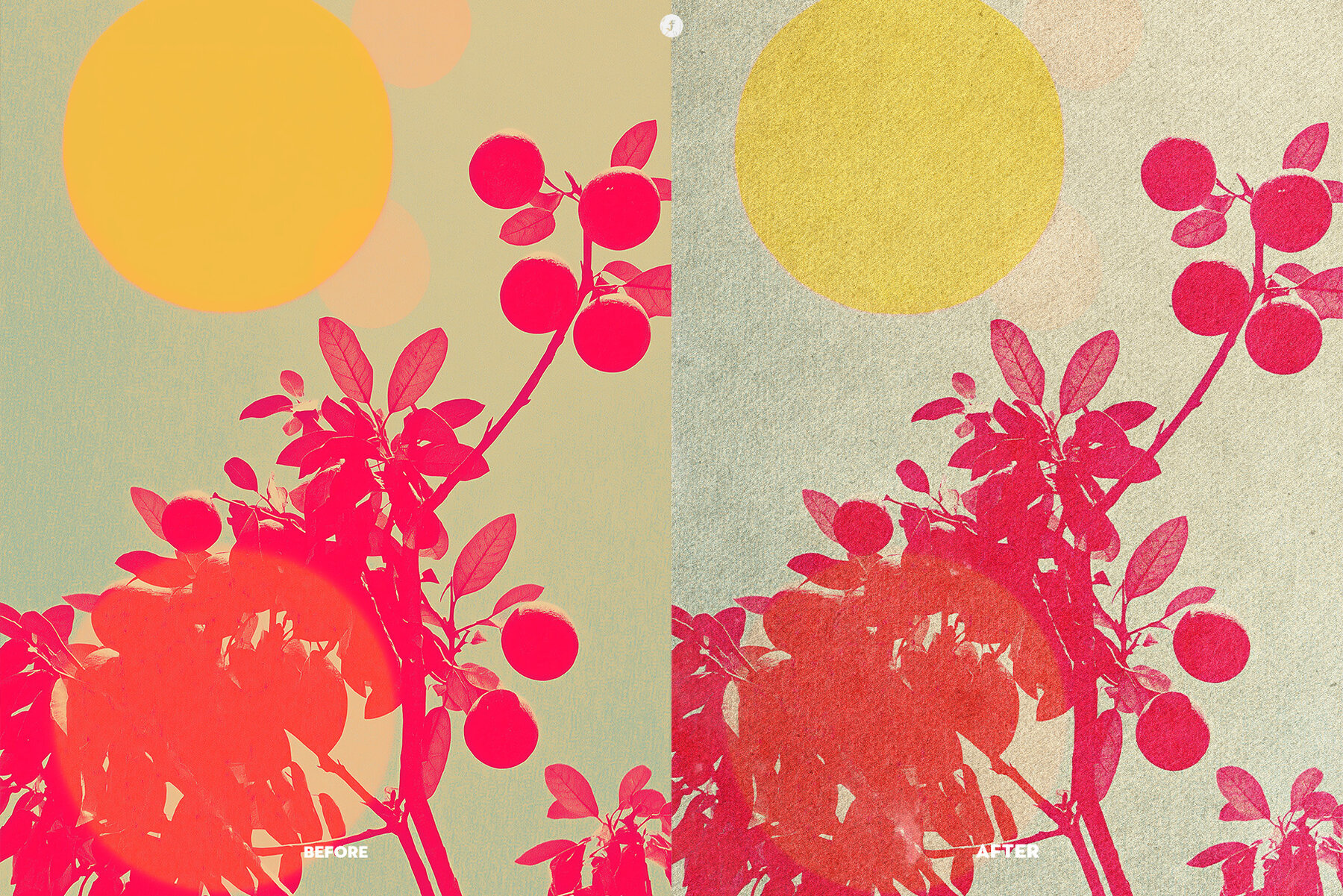 Postcard Print Photo Effect 6