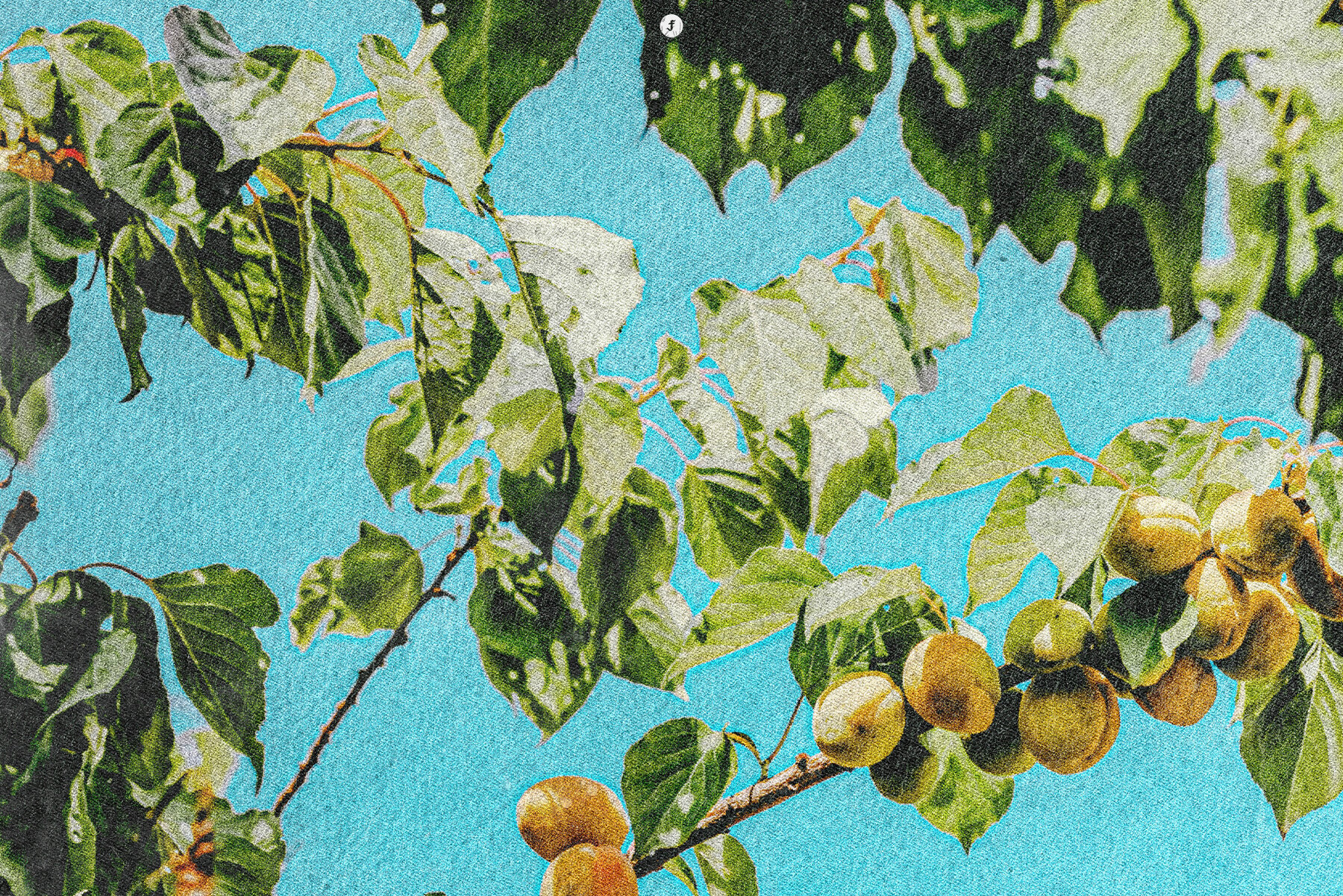 Postcard Print Photo Effect 9