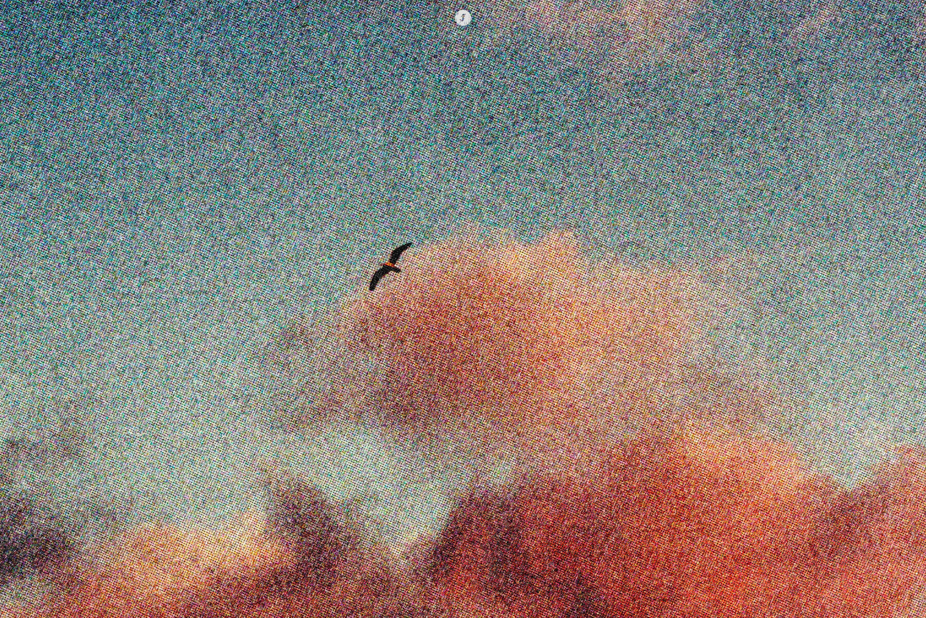 Postcard Print Photo Effect 14