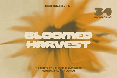 Bloomed Harvest Sunflowers abstract backgrounds