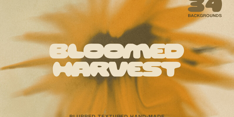 Bloomed Harvest Sunflowers abstract backgrounds