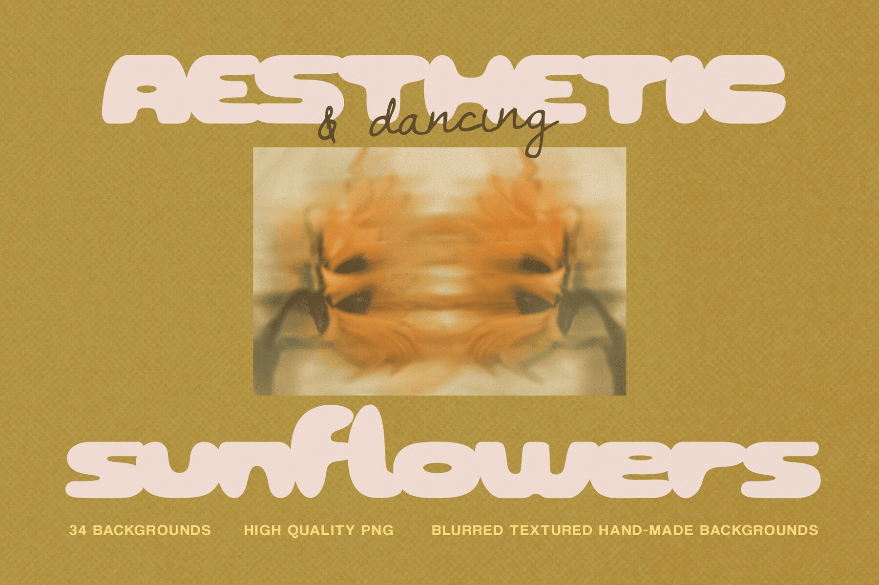 Bloomed Harvest Sunflowers abstract backgrounds 2