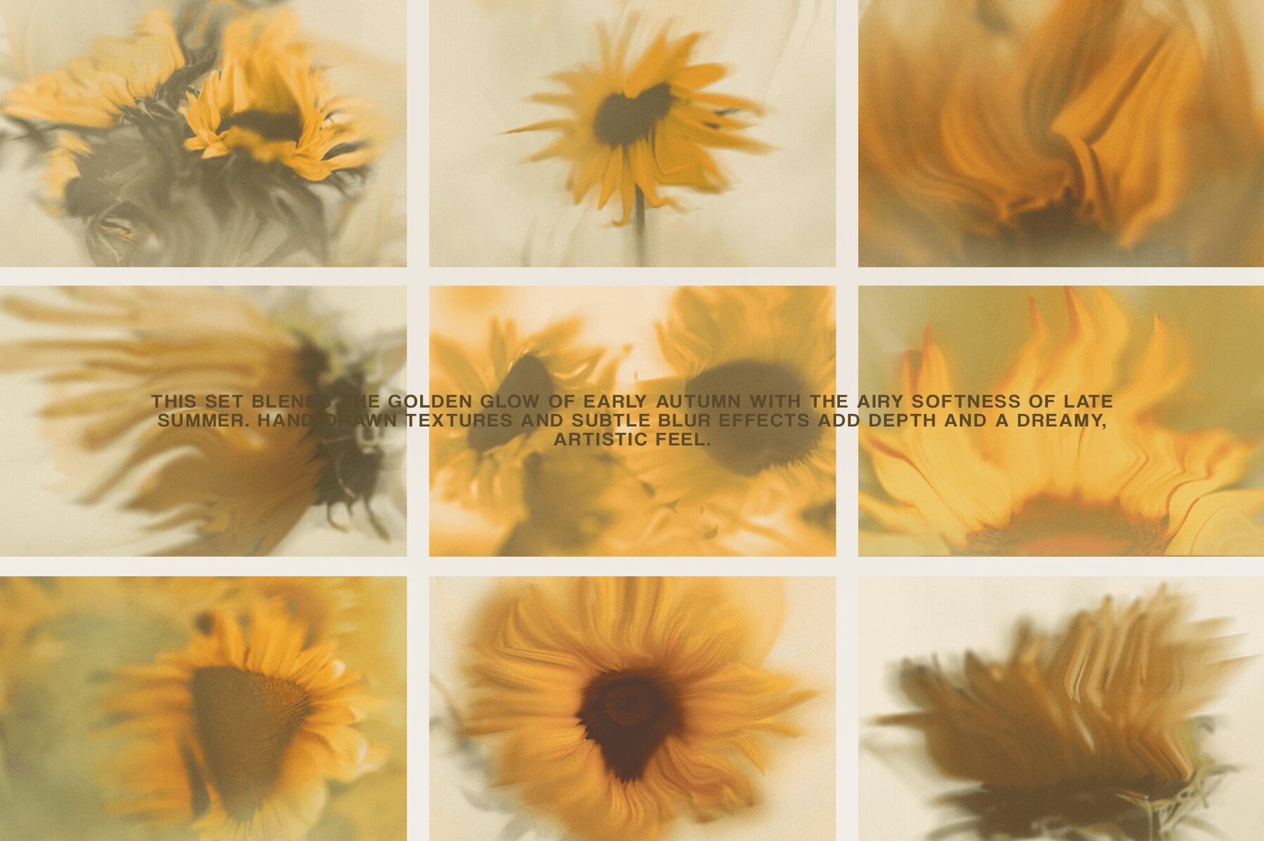Bloomed Harvest Sunflowers abstract backgrounds 5