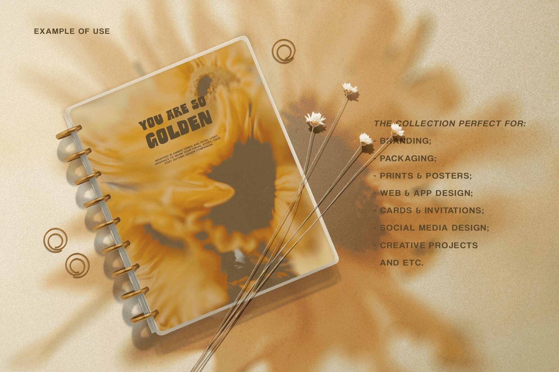 Bloomed Harvest Sunflowers abstract backgrounds 6