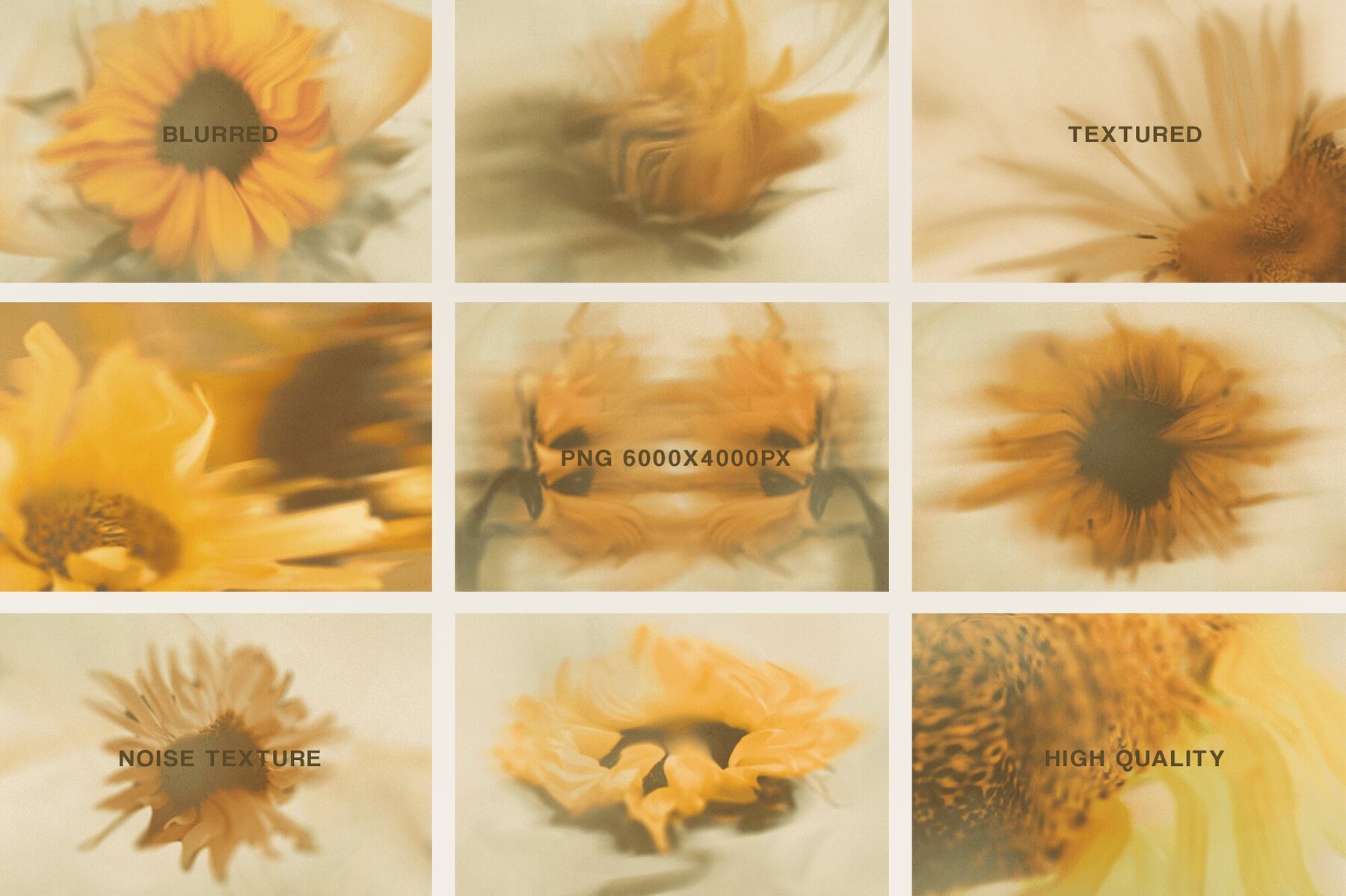 Bloomed Harvest Sunflowers abstract backgrounds 7