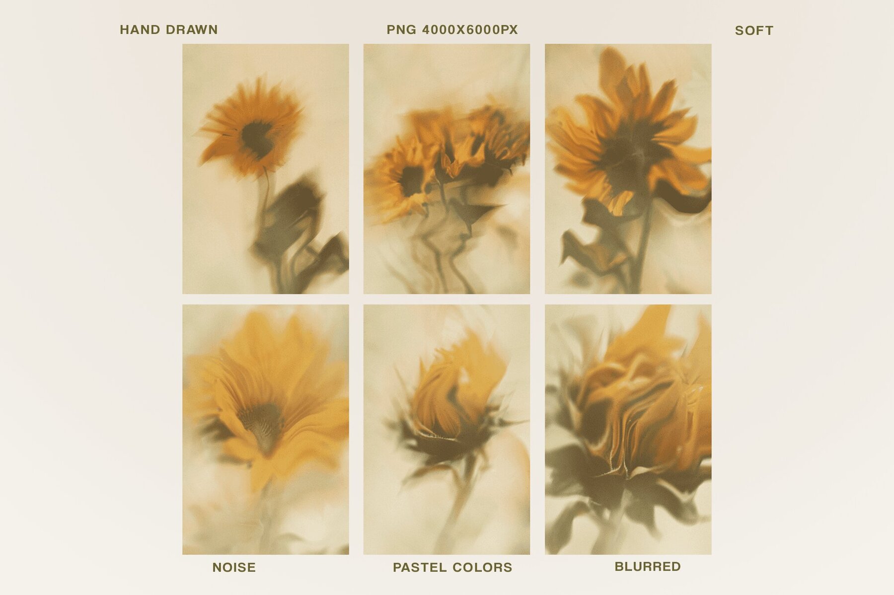 Bloomed Harvest Sunflowers abstract backgrounds 8