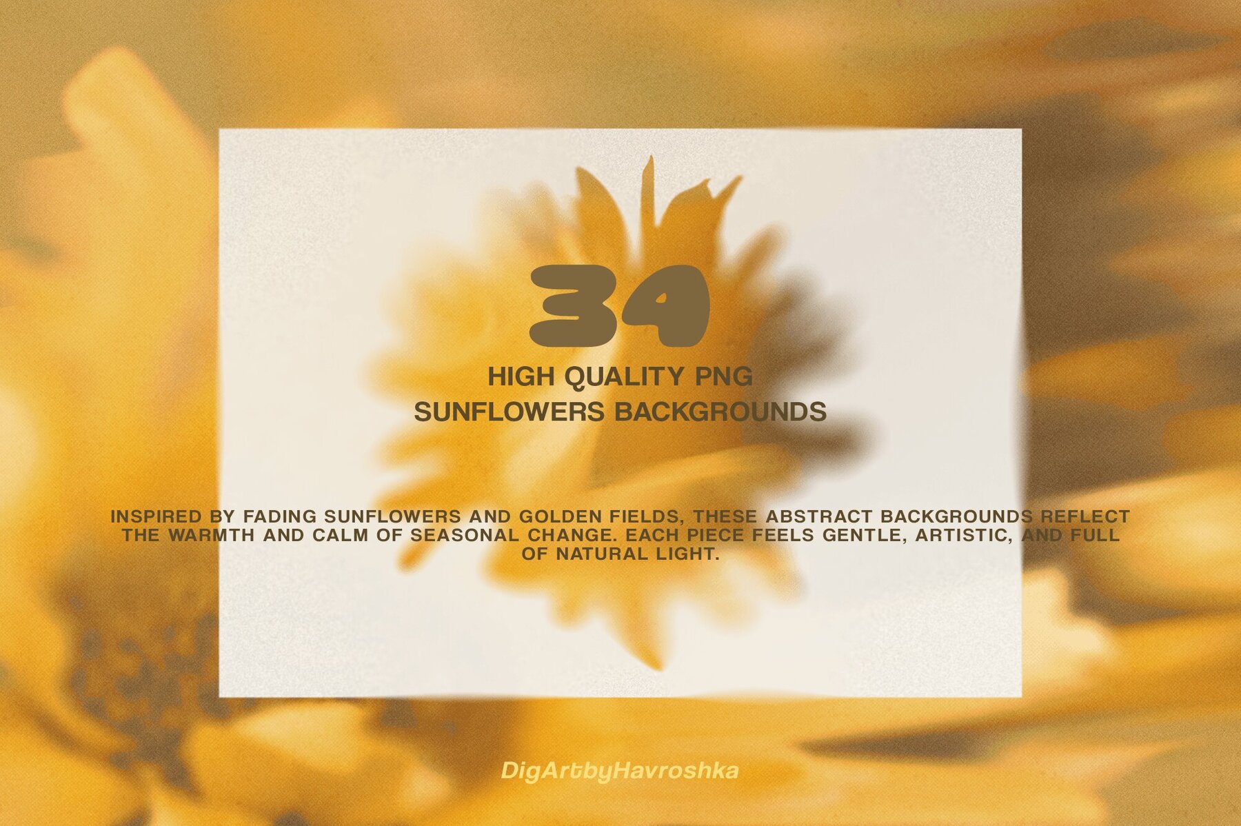 Bloomed Harvest Sunflowers abstract backgrounds 10