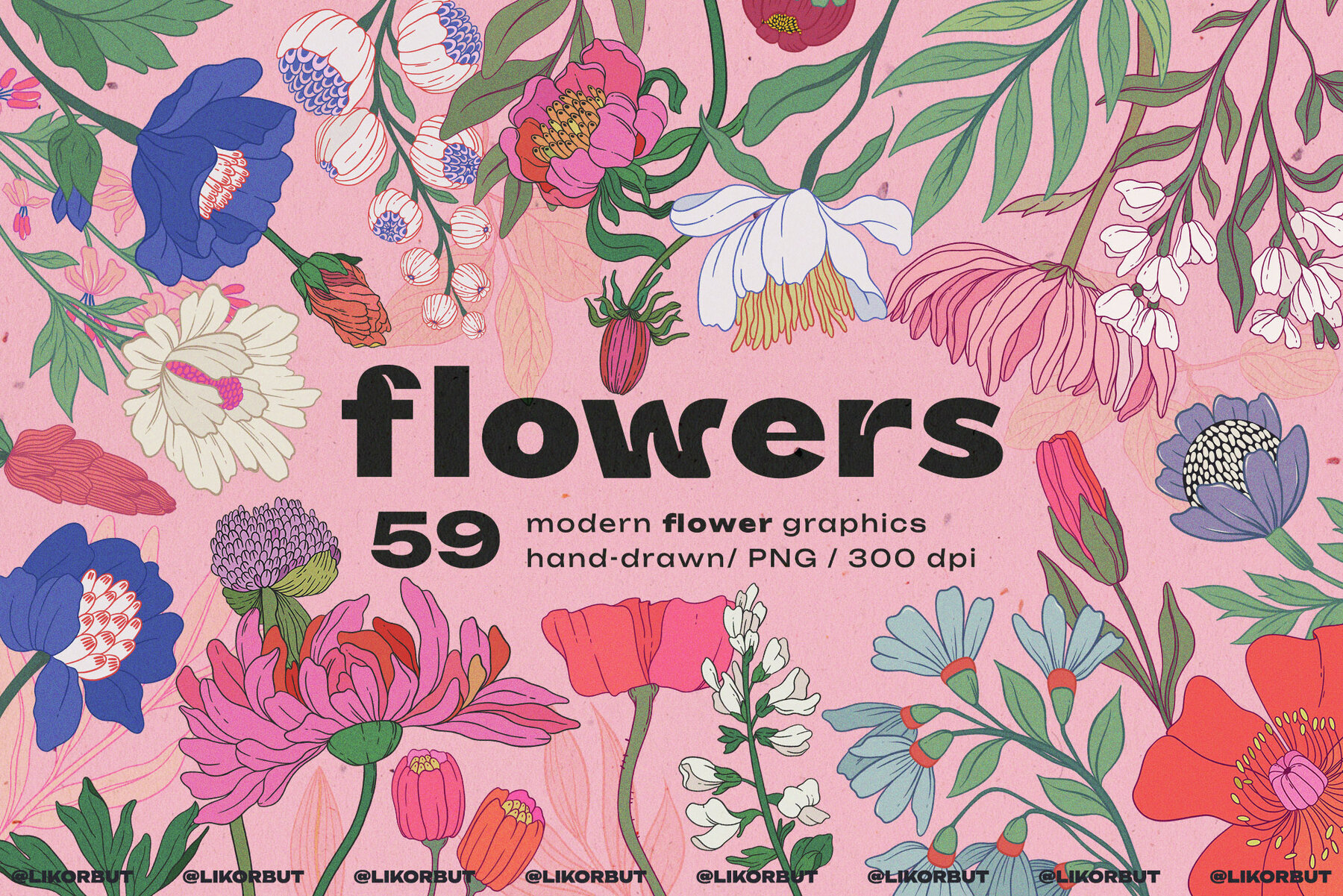 Modern Botanical Floral Illustration 1