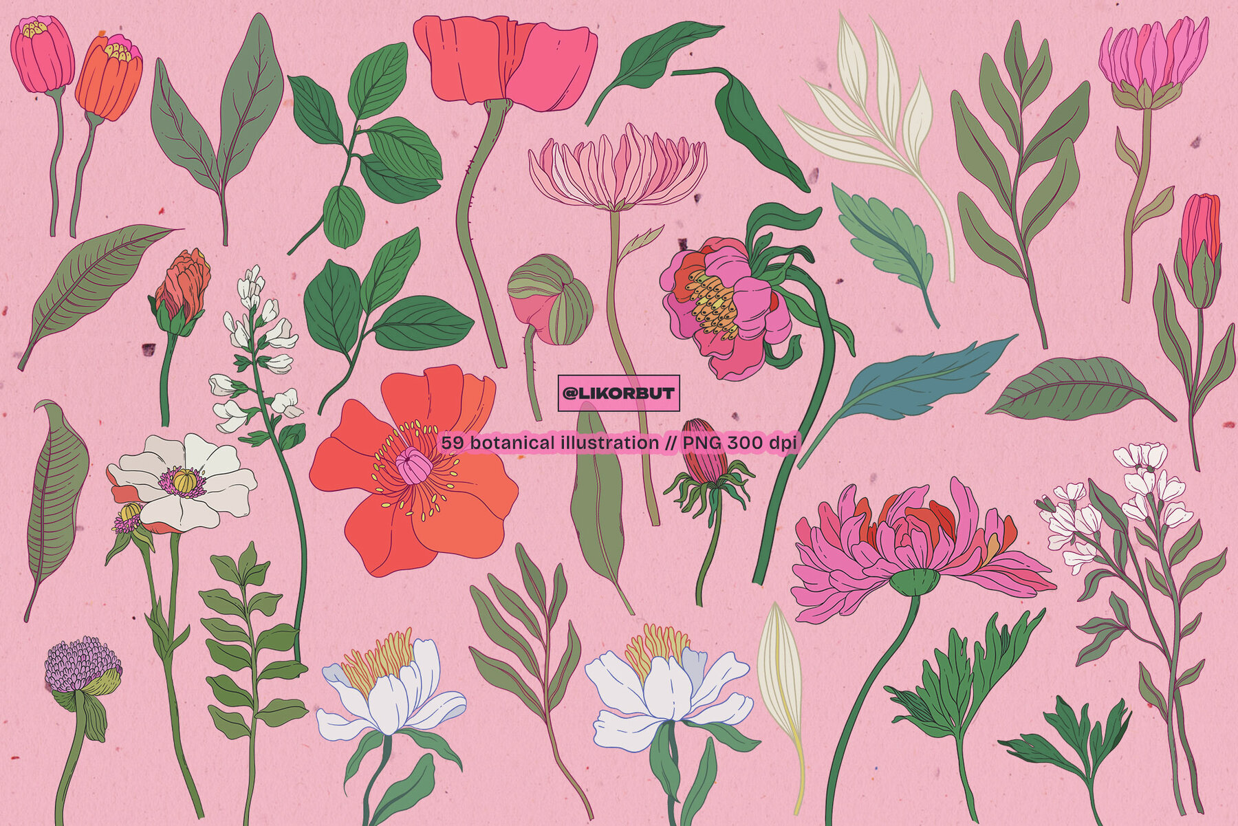 Modern Botanical Floral Illustration 2