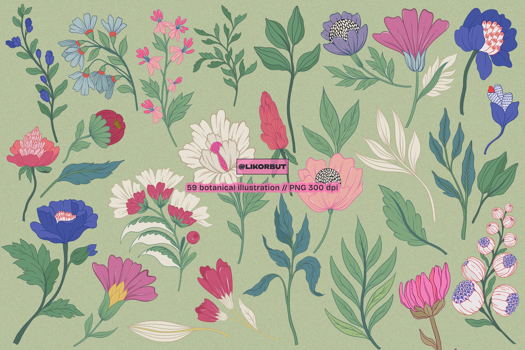 Modern Botanical Floral Illustration 3