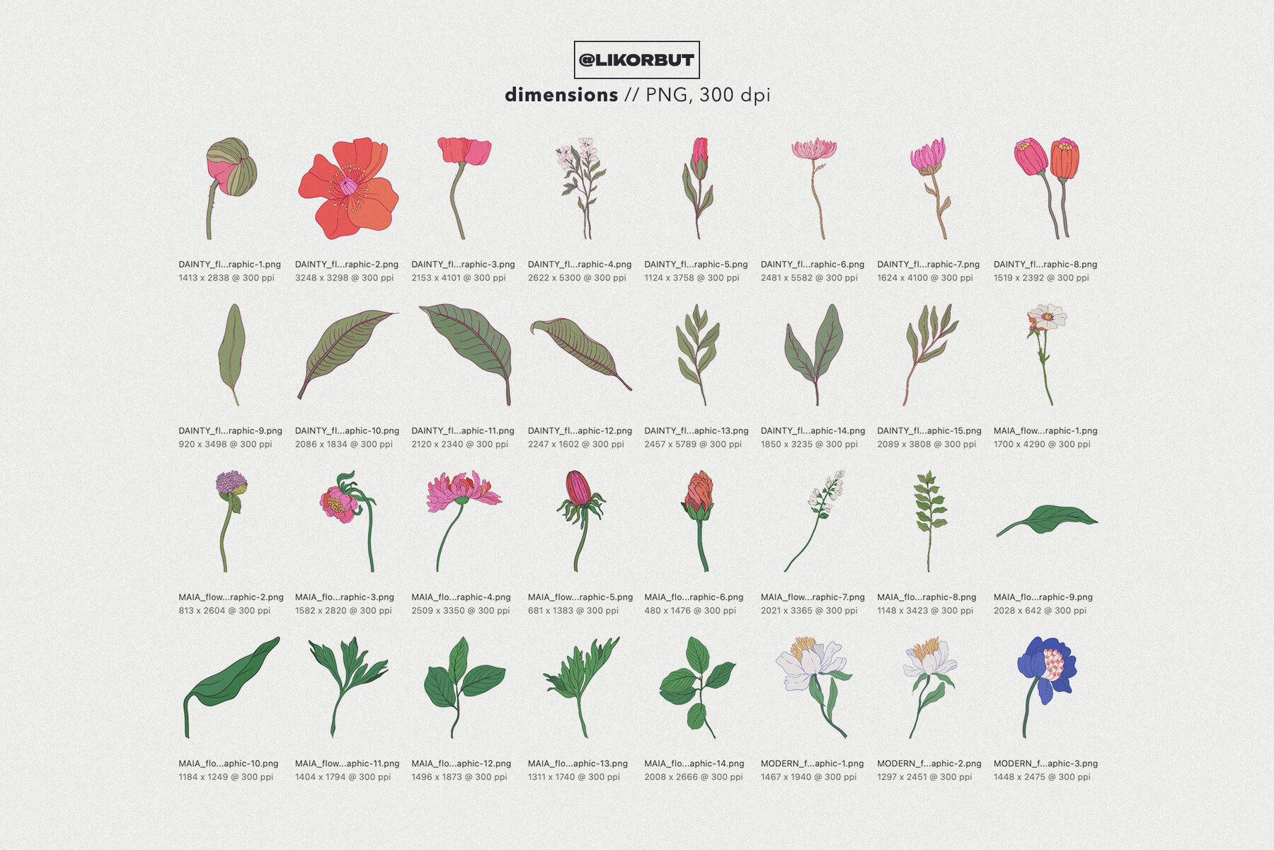 Modern Botanical Floral Illustration 4