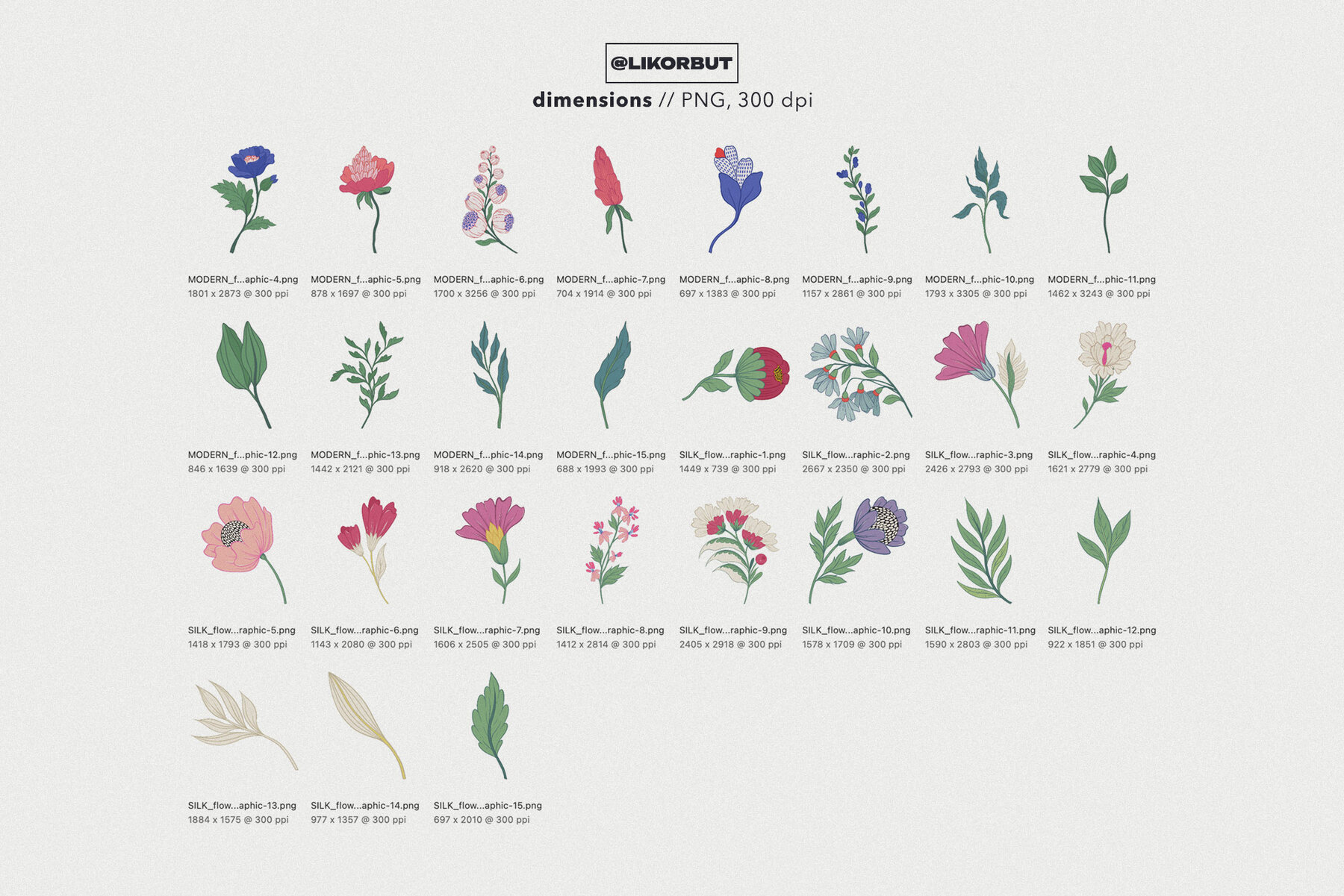 Modern Botanical Floral Illustration 5