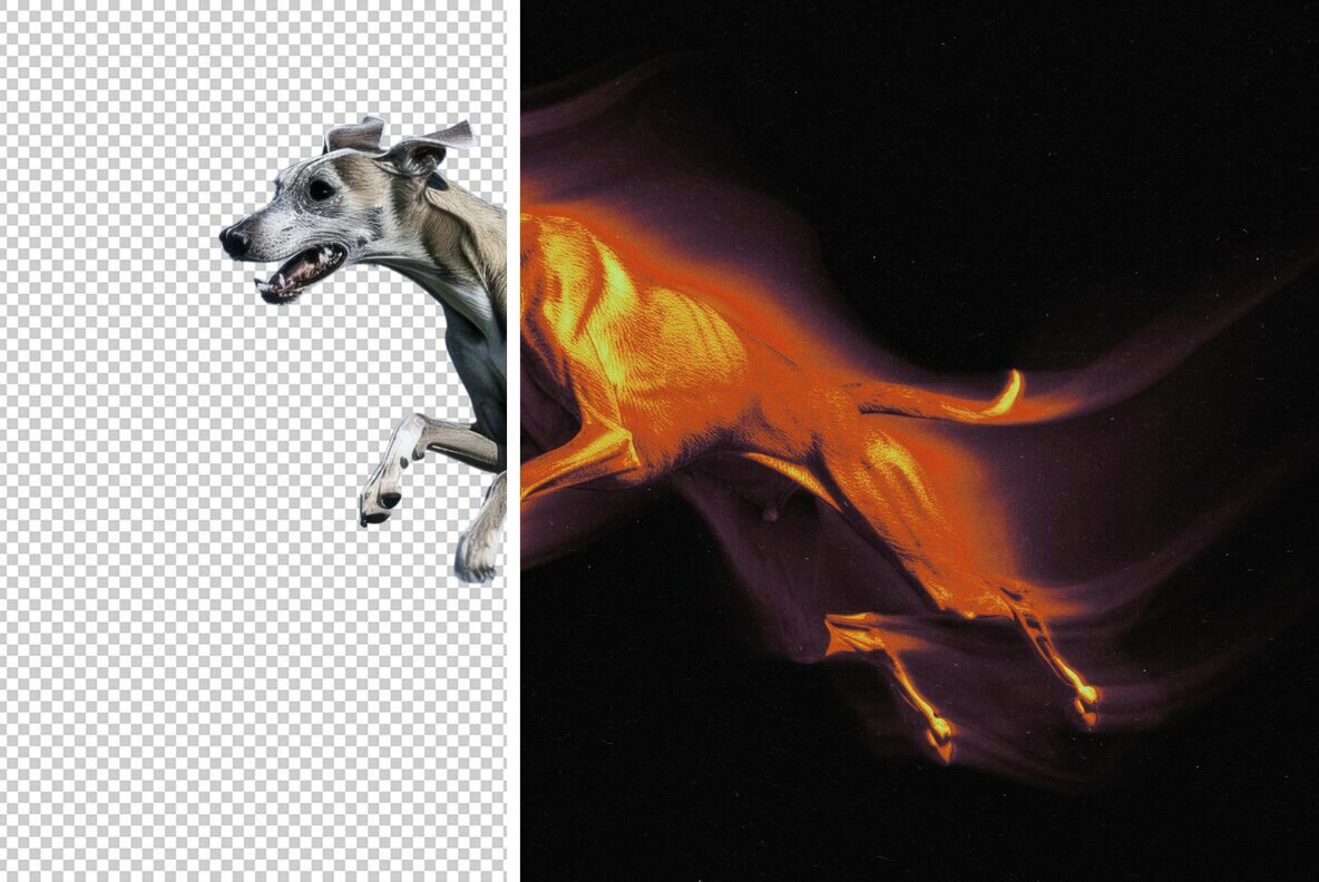 Grunge Duotone Motion Photo Effect 5