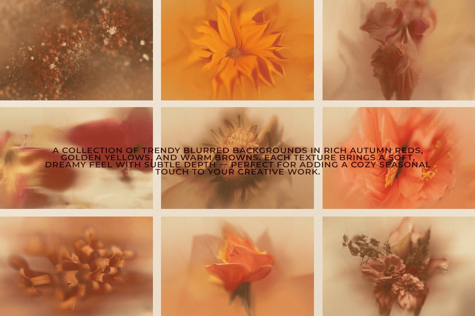 FallFrenzy floral backgrounds 3