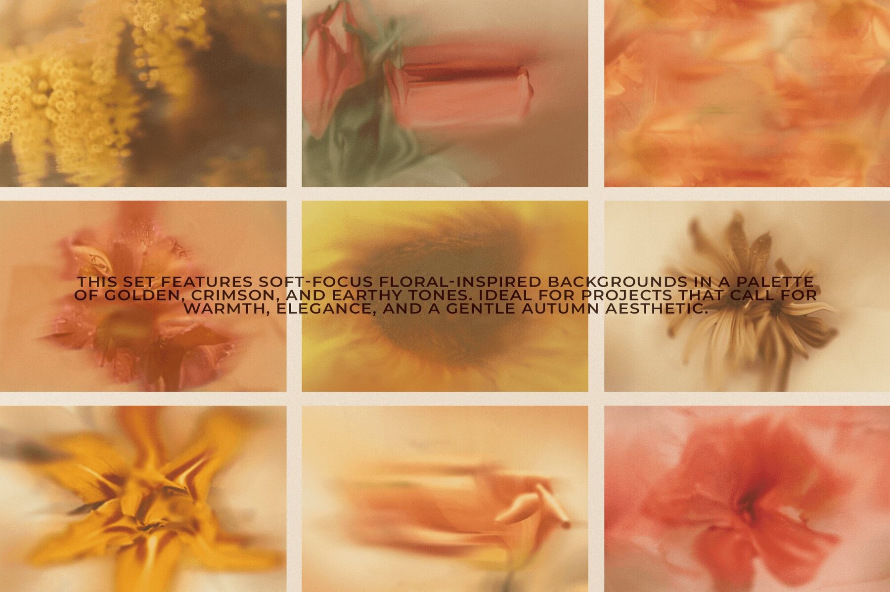 FallFrenzy floral backgrounds 6