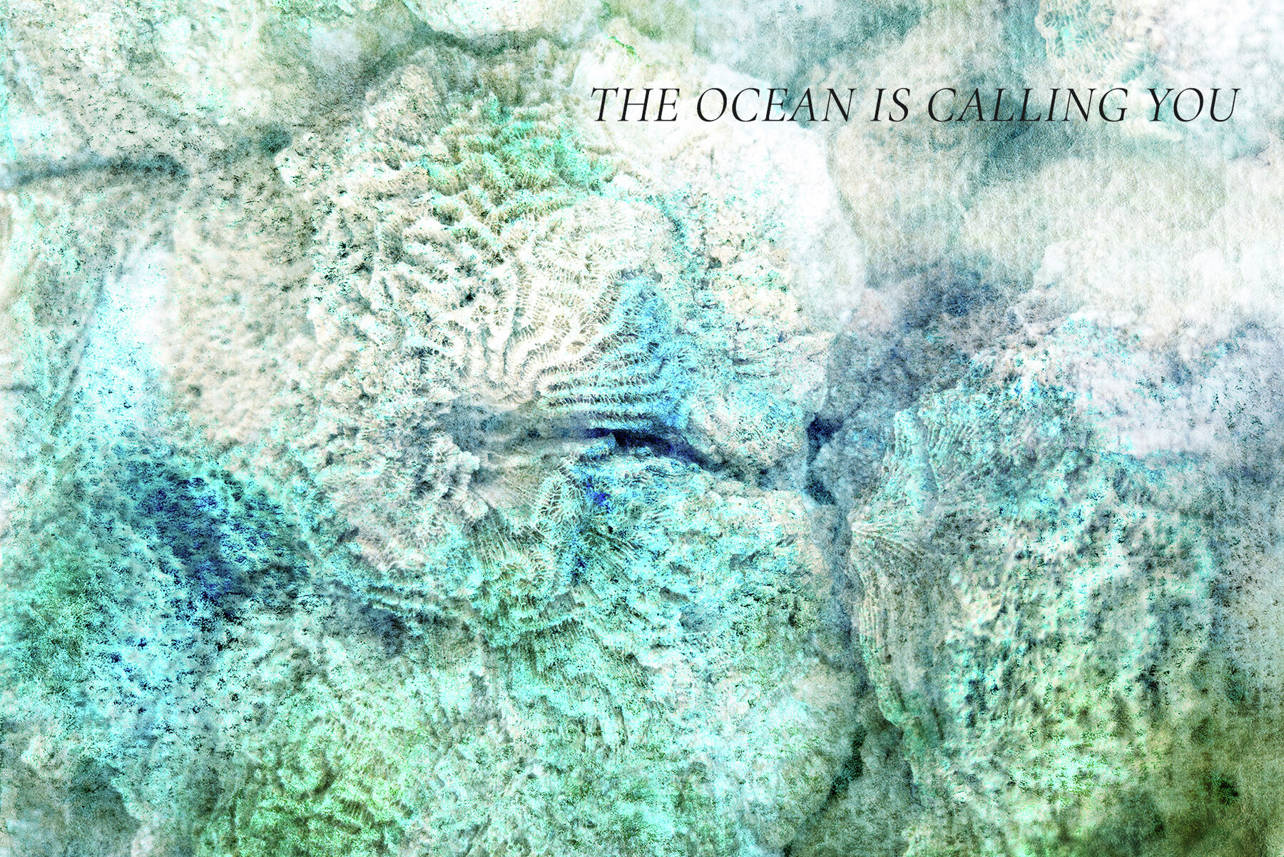 Ocean Watercolor Backgrounds and Nautical Graphic Illustrations 9