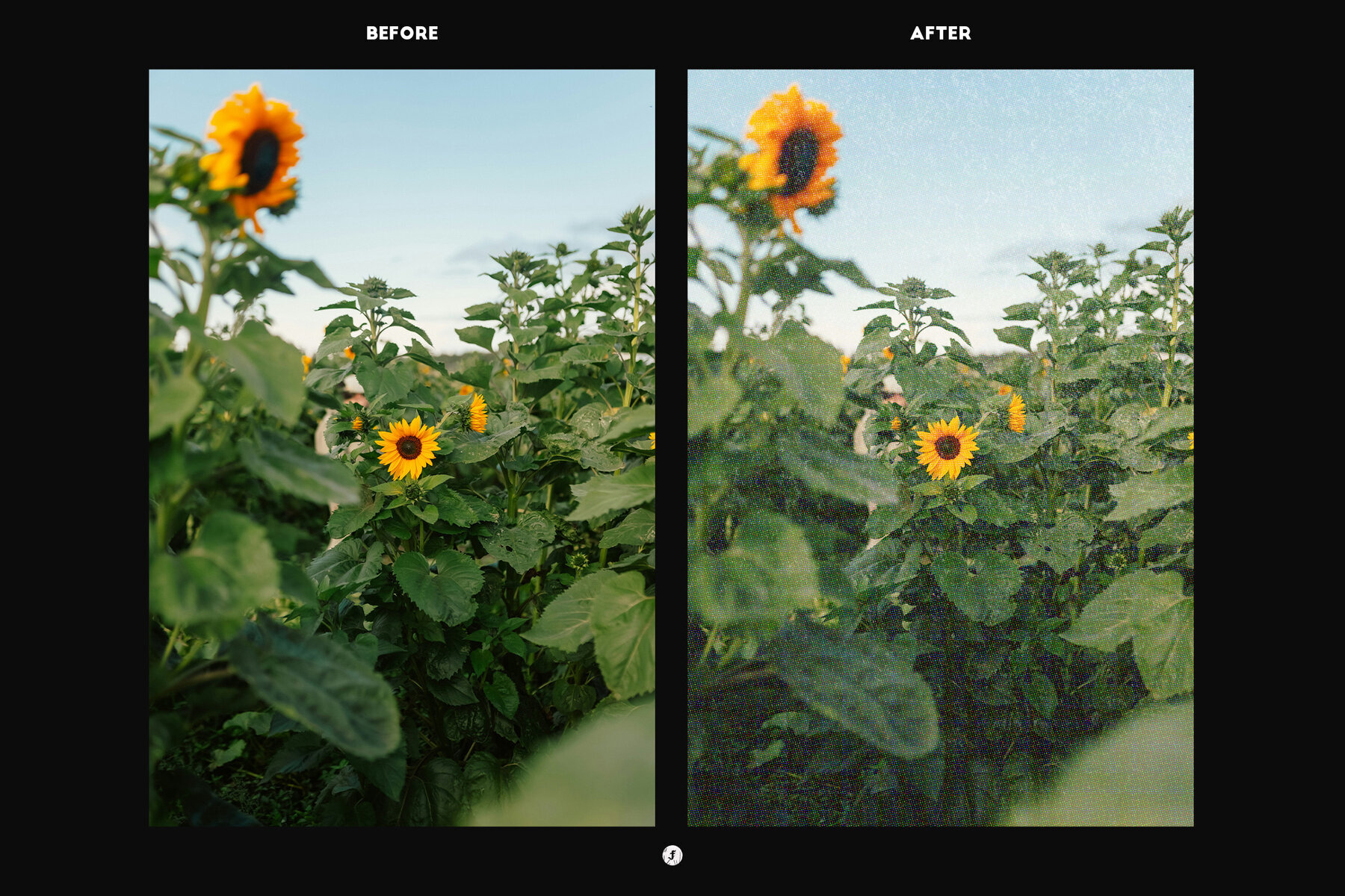 Halftone Textures Classic and Gritty 3