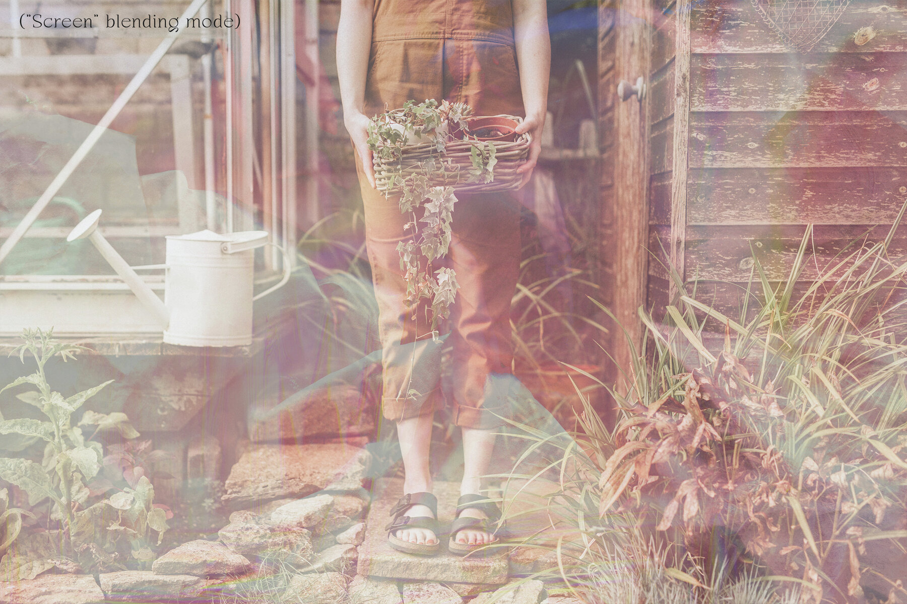 Holographic Papers Textures 11