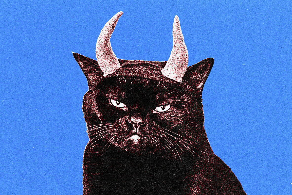 Color Risoprint Photo Effect 4