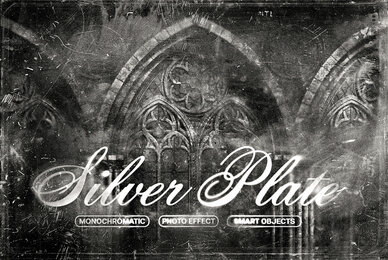 Silver Plate Photo Effect