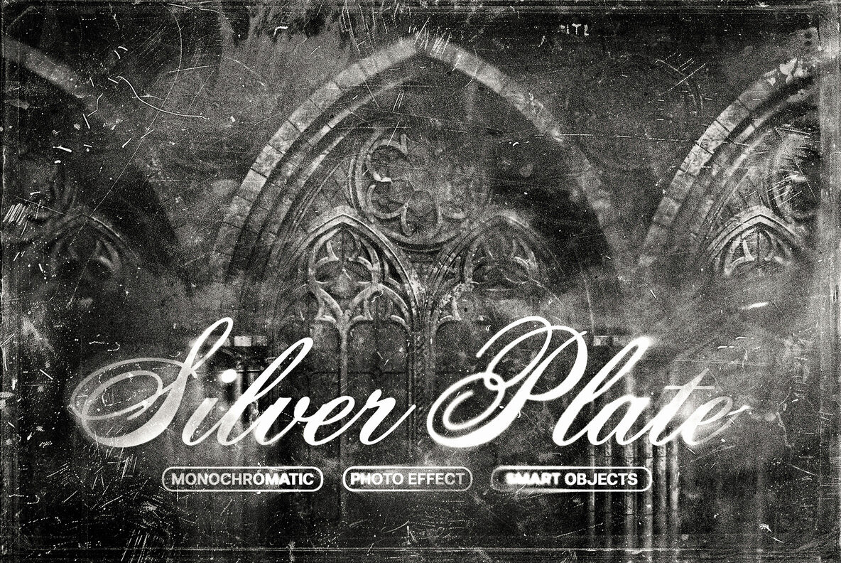 Silver Plate Photo Effect 1