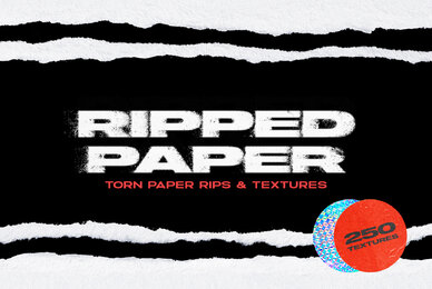 Ripped Torn Paper Transparent Rips Texture Bundle