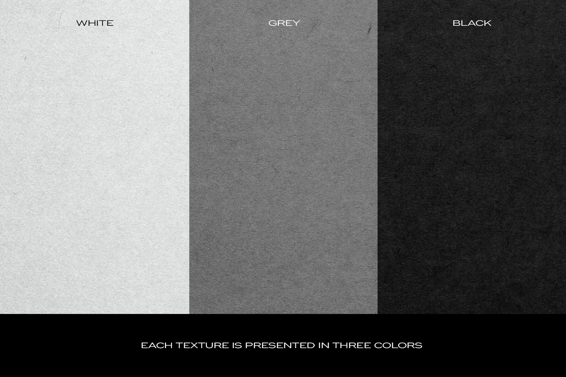 Ripped Torn Paper Transparent Rips Texture Bundle 6