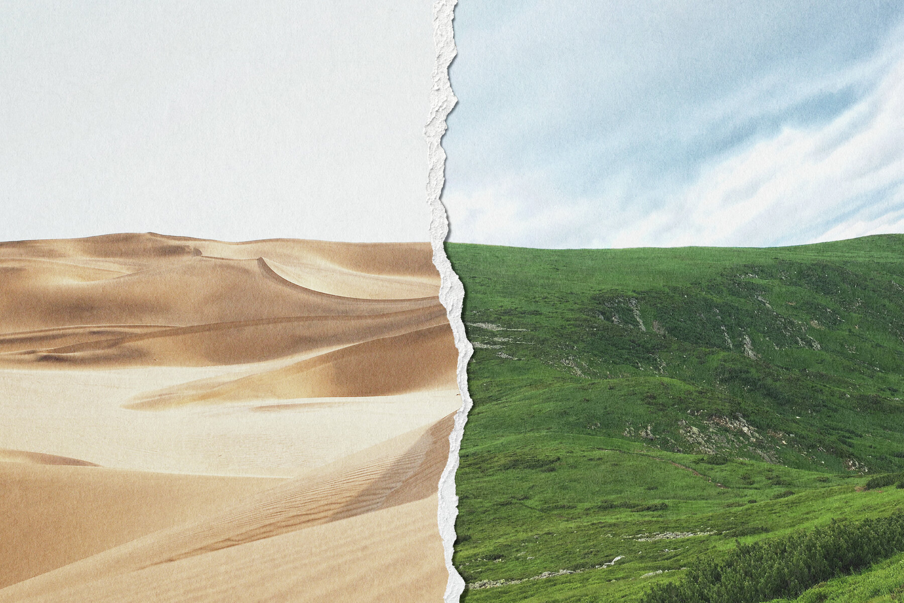 Ripped Torn Paper Transparent Rips Texture Bundle 15