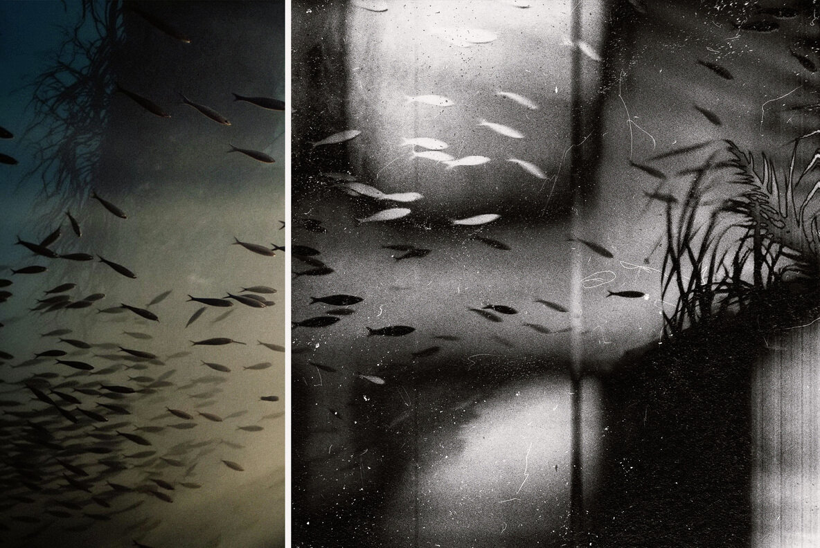 Negative Printer Photo Effect 7