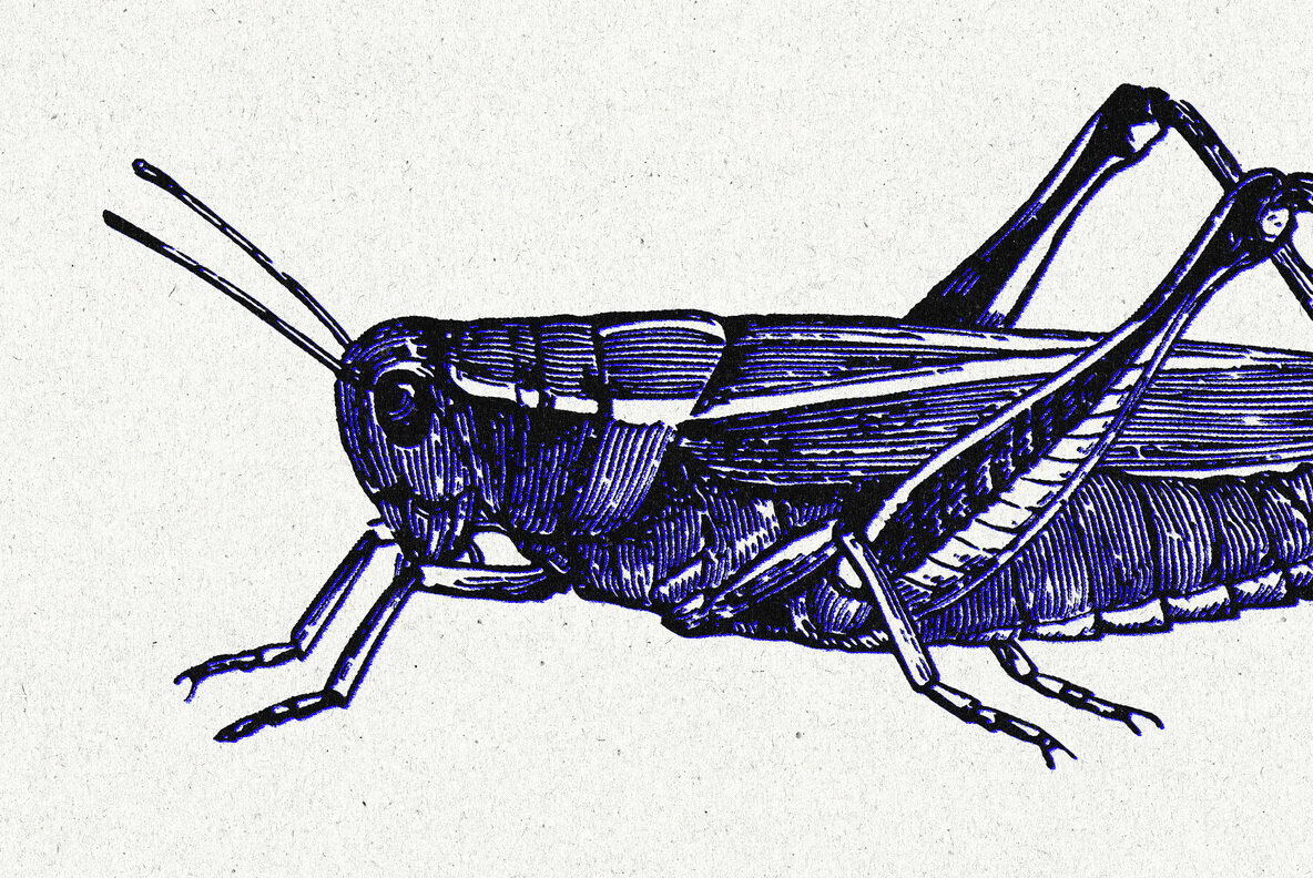 Grunge Printing Effect 5