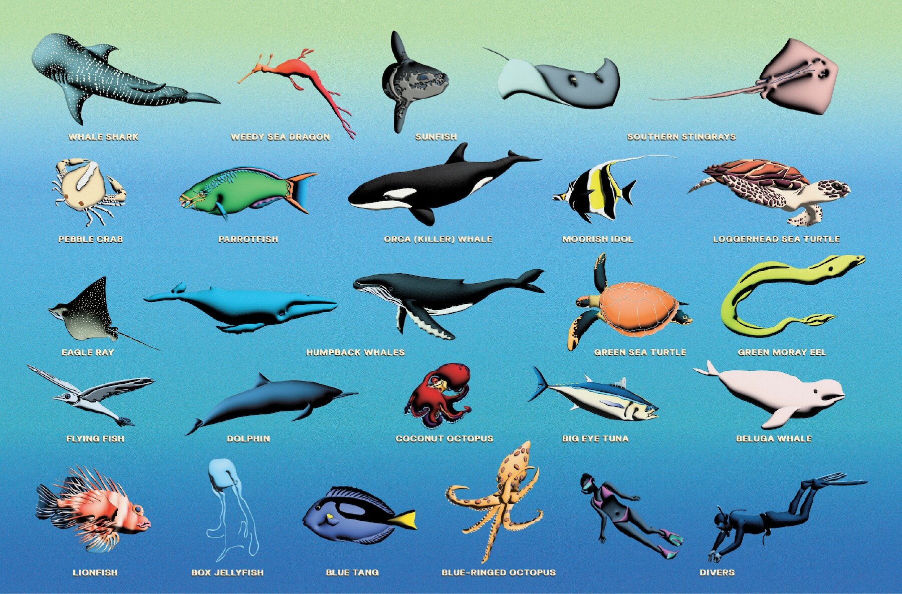 Oceanic 3D Characters   The Sunlight Zone 7