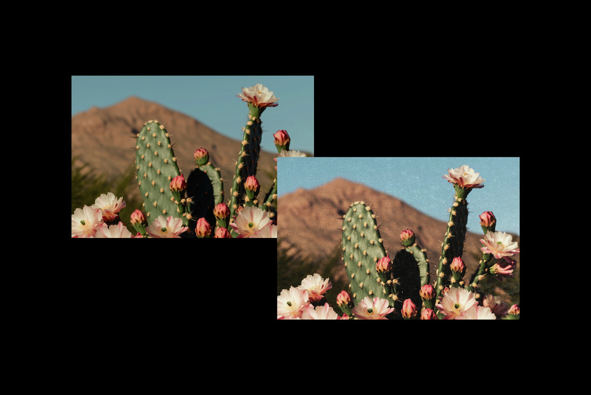 Authentic Postcard Photo Effect 5