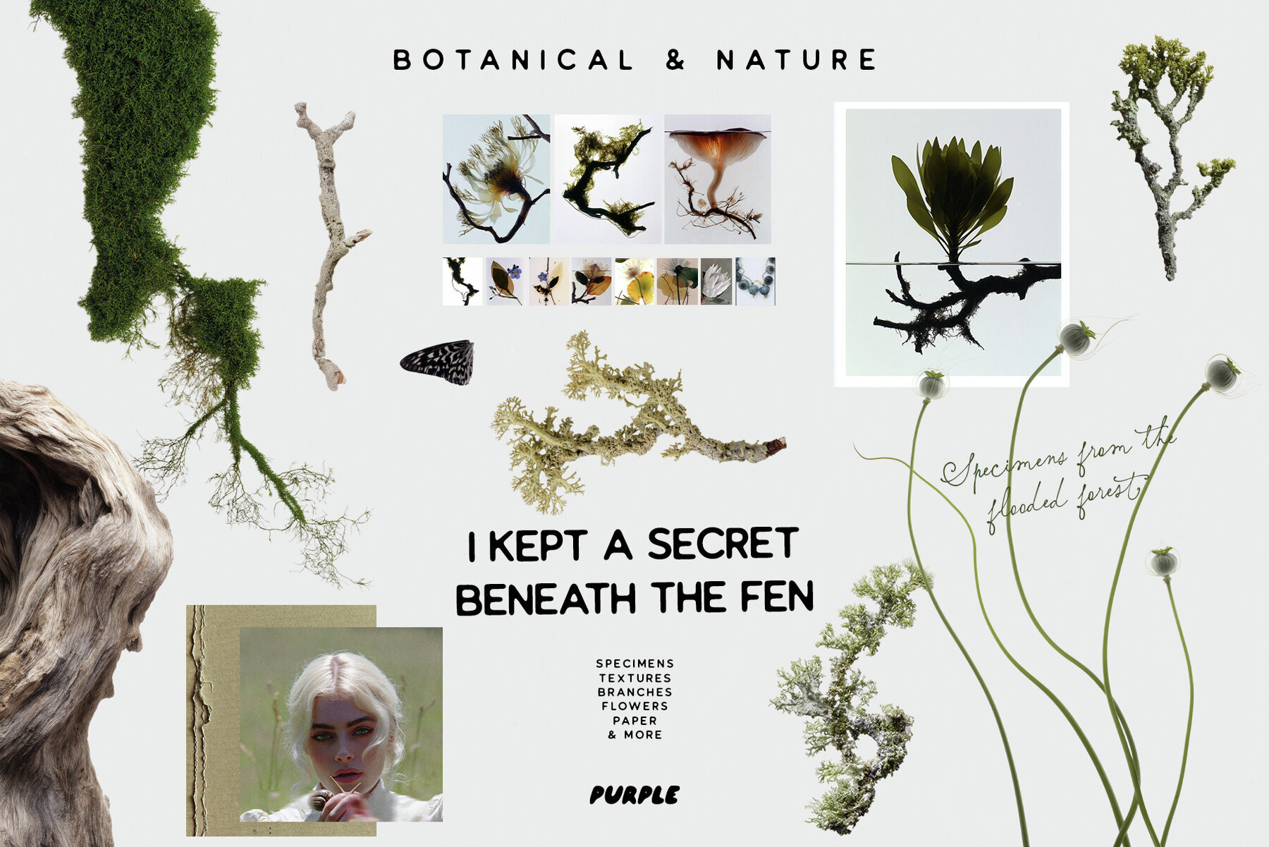 Botanical and Nature Collage Kit 1
