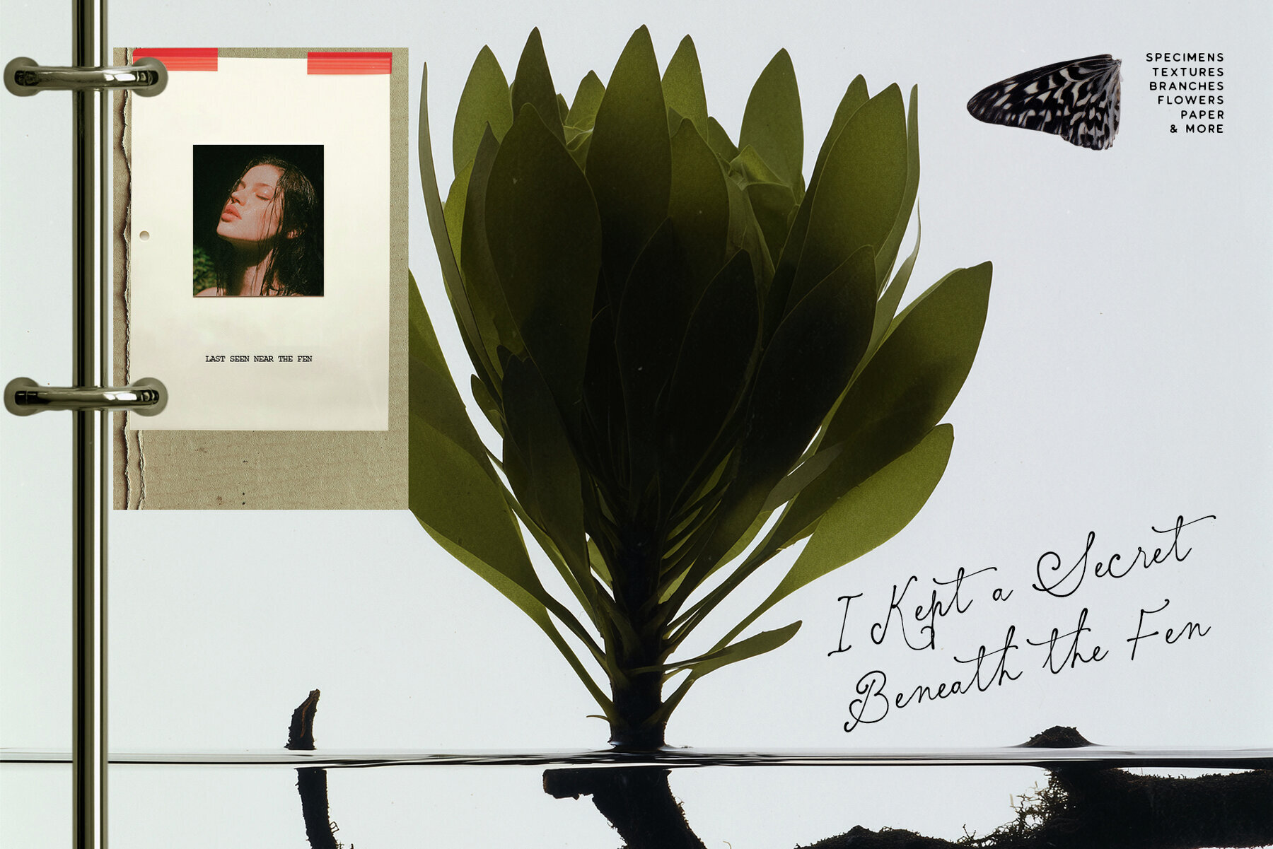 Botanical and Nature Collage Kit 2