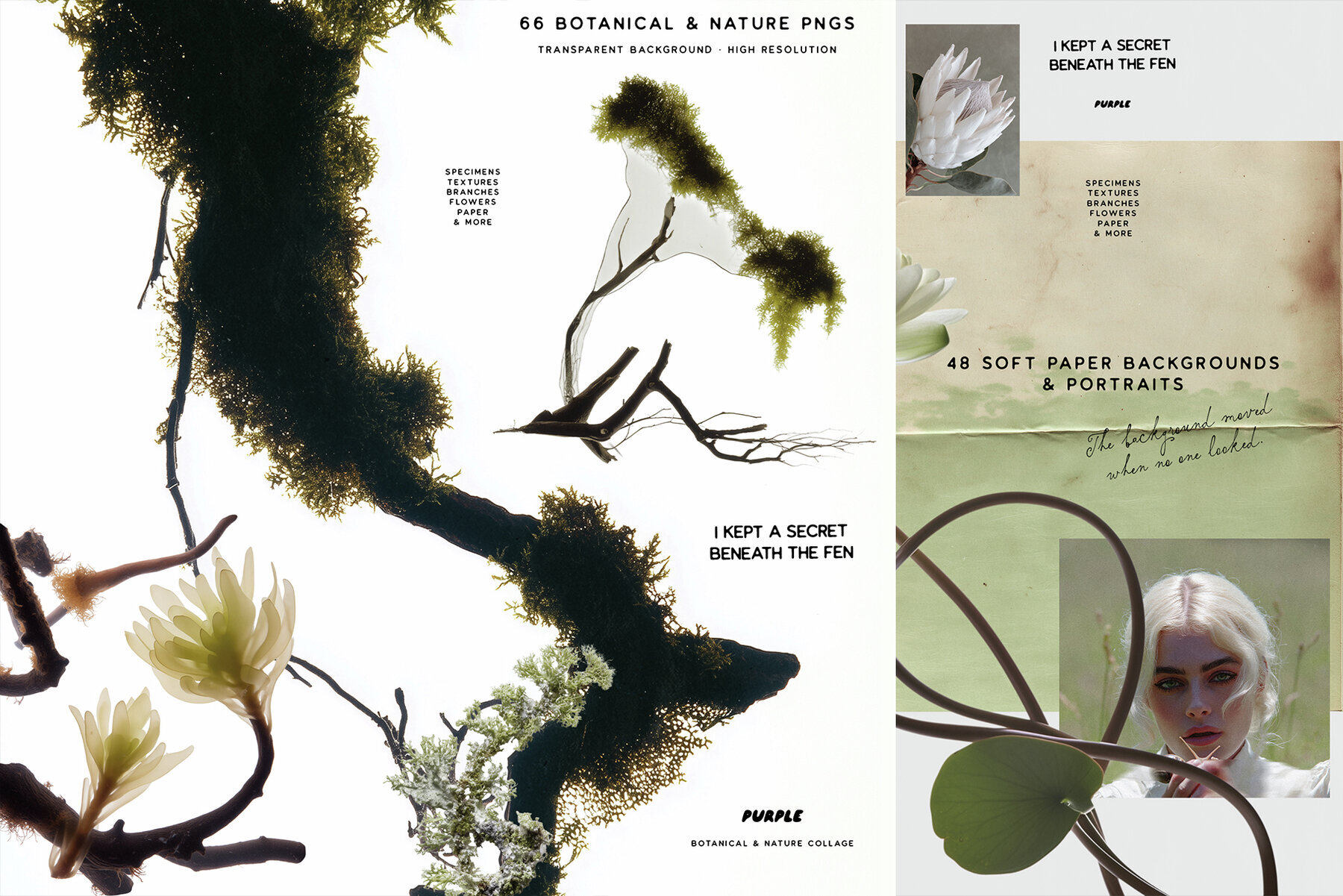 Botanical and Nature Collage Kit 3